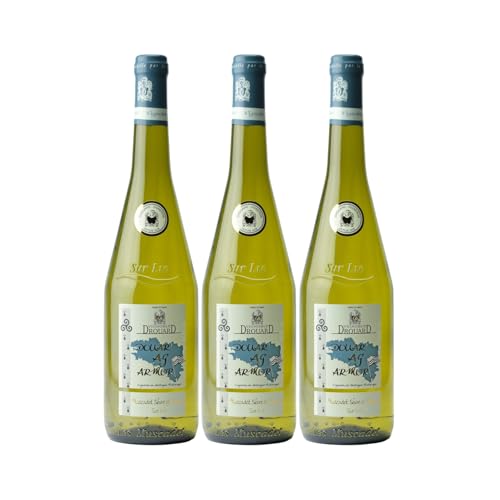 Muscadet Sèvre et Maine sur lie Douar Ag Armor Weißwein 2021 - Vignoble Drouard - g.U. - Loiretal Frankreich - Rebsorte Melon de Bourgogne - 3x75cl von Generisch