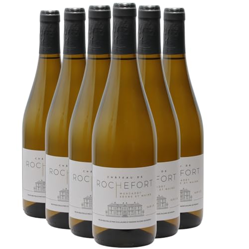 Muscadet Sèvre et Maine sur lie Weißwein 2023 - Château de Rochefort - g.U. - Loiretal Frankreich - Rebsorte Melon de Bourgogne - 6x75cl von Generisch