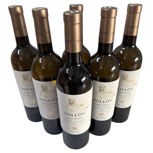 Pinot Grigio Alto Adige DOC 2024, Tolloy, Weißwein aus Italien, 750 ml, 6er-Set von Generisch