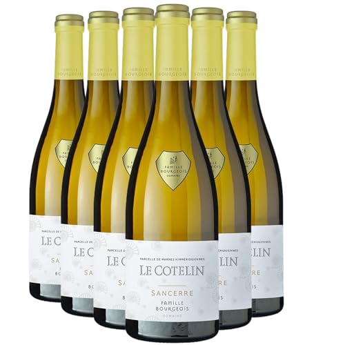 Sancerre Le Cotelin Weißwein 2020 - Bio - Domaine Henri Bourgeois - g.U. - Loiretal Frankreich - Rebsorte Sauvignon Blanc - 6x75cl von Generisch