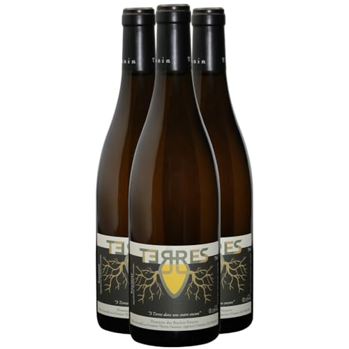 Saumur Terres - Cuvée en Amphore Weißwein 2022 - Bio - Domaine des Roches Neuves - g.U. - Loiretal Frankreich - Rebsorte Chenin - 3x75cl von Generisch