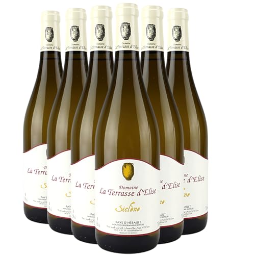 Siclène Weißwein 2023 - Bio - La Terrasse d'Elise - g.g.A. Pays d'Hérault - Languedoc - Roussillon Frankreich - Rebsorte Marsanne, Roussanne, Chardonnay - 6x75cl von Generisch