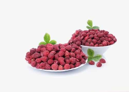 biolla food getrocknete ganze WILDE Erdbeeren, 0,5 kg, frische Ernte, 100% natur. Besonders viele Vitamine und Minearlien. Ideal für Smoothies, Müsli oder zum Tee. Auch als Knabberzeug sehr gesund! von Generisch