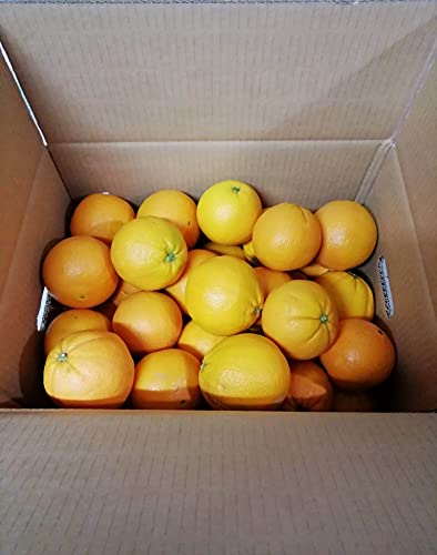 9 KG - FRISCHE KALABRISCHE ORANGEN - Gemischtes Kaliber - Süßer Geschmack - Unbehandelte und garantiert essbare Schale - Giardino Digitale - Hergestellt in Kalabrien in Corigliano Calabro - ITALIEN von Giardino Digitale