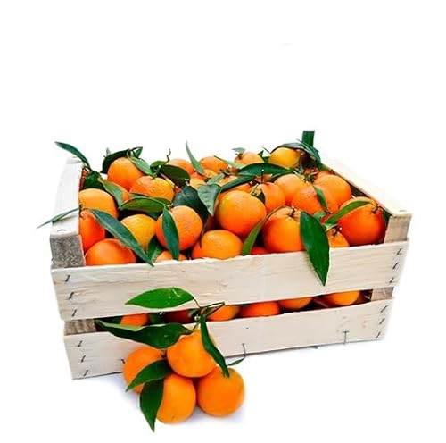 CALABRIAN CLEMENTINE - Gemischtes Kaliber - Unbehandelte und garantiert essbare Haut - Giardino Digitale - Hergestellt in Kalabrien in Corigliano Calabro- ITALIEN (18) von Giardino Digitale