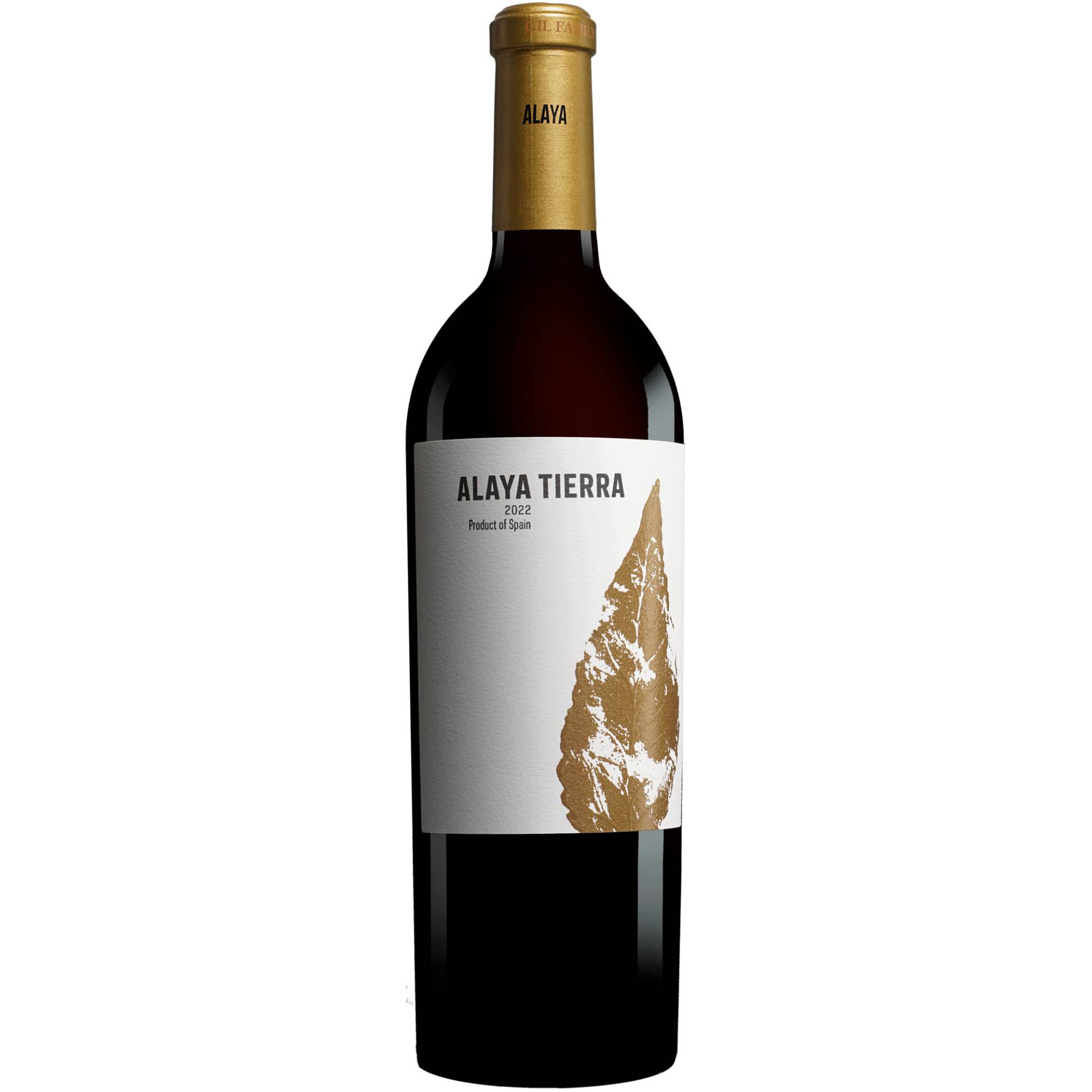 Atalaya Alaya Tierra 2022  0.75L 15% Vol. Rotwein Trocken aus Spanien von Gil Family Estate - Atalaya