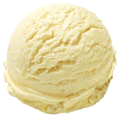 Gino Gelati 10x1 Kg Eispulver mit Bourbon-Vanille für Milcheis Softeispulver Speiseeispulver von Gino Gelati