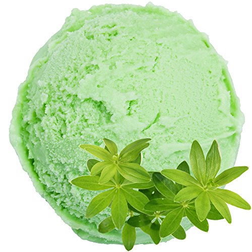 Waldmeister Geschmack Eispulver VEGAN - OHNE ZUCKER - LAKTOSEFREI - GLUTENFREI - FETTARM, auch für Diabetiker Milcheis Softeispulver Speiseeispulver Gino Gelati (Waldmeister, 333 g) von Gino Gelati