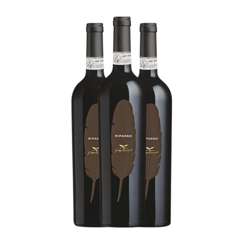 Giuseppe Campagnola Piuma Valpolicella Ripasso 75 cl Rotwein (Karton mit 3 Flaschen von 75 cl) von Giuseppe Campagnola