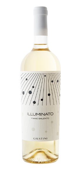 "Illuminato" Fiano Salento IGP 2023 von Giustini