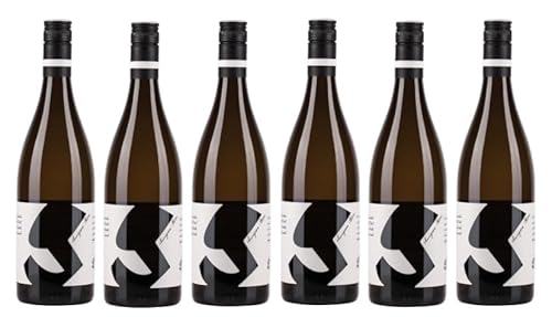 6x 0,75l - 2023er - Glatzer - Sauvignon Blanc - Carnuntum - Österreich - Weißwein trocken von Glatzer