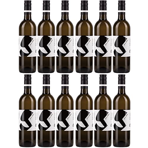 Glatzer Grüner Veltliner Weißwein Wein trocken Bio Österreich I Visando Paket (12 Flaschen) von Glatzer