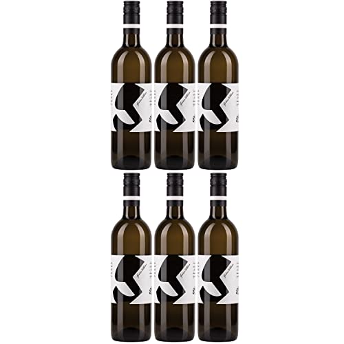 Glatzer Grüner Veltliner Weißwein Wein trocken Bio Österreich I Visando Paket (6 Flaschen) von Glatzer