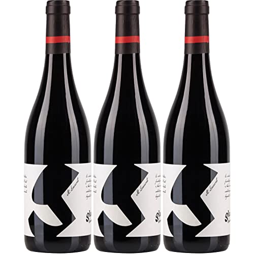 Glatzer Sankt Laurent Rotwein Wein trocken Österreich I Visando Paket (3 Flaschen) von Glatzer