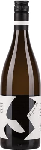 Glatzer Sauvignon Blanc 2022 (1 x 0.75 l) von Glatzer