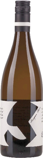 Glatzer Sauvignon Blanc Jg. 2022 von Glatzer