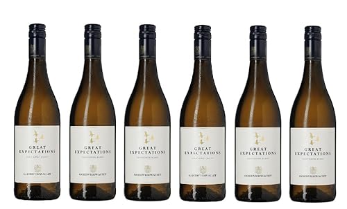 6x 0,75l - 2024er - Goedverwacht - Great Expectations - Sauvignon Blanc - Robertson W.O. - Südafrika - Weißwein trocken von Goedverwacht