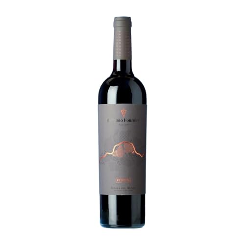 González Byass Dominio Fournier Tempranillo Ribera del Duero Reserve 75 cl Rotwein von González Byass