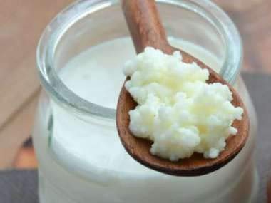 12g Milchkefir, Kefirknolle, Kefir, Kefir von Goodrinks von Goodrinks