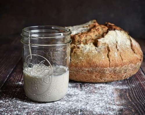 ROGGEN Sauerteig, Anstellteig, Anstellgut (+ Kurzanleitung u. Backrezept) - Bio (40, 1) von Goodrinks