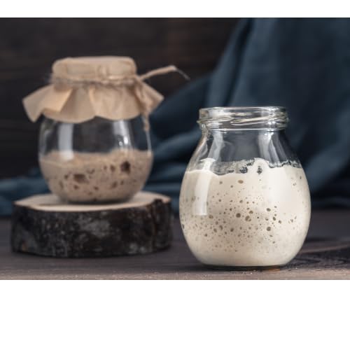 WEIZEN Sauerteig, Anstellteig, Anstellgut (+ Kurzanleitung u. Backrezept) - Bio (80) von Goodrinks