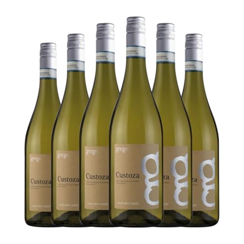 Gorgo Bianco di Custoza 75 cl Weißwein (Karton mit 6 Flaschen von 75 cl) von Gorgo