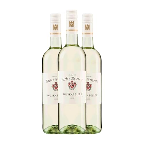 Graf Neipperg Muskateller Trocken Baden 75 cl Weißwein (Karton mit 3 Flaschen von 75 cl) von Graf Neipperg