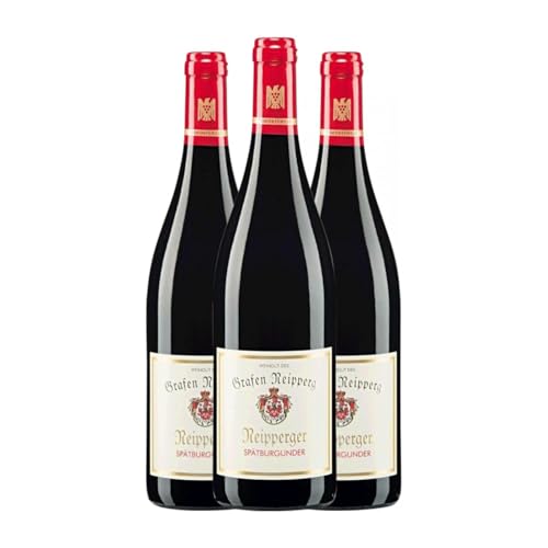 Graf Neipperg Spätburgunder Trocken Baden 75 cl Rotwein (Karton mit 3 Flaschen von 75 cl) von Graf Neipperg