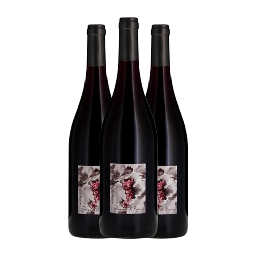 Gramenon Poignée de Raisins Grenache Tintorera Côtes du Rhône 75 cl (Schachtel mit 3 Flaschen von 75 cl) von Distribuidor