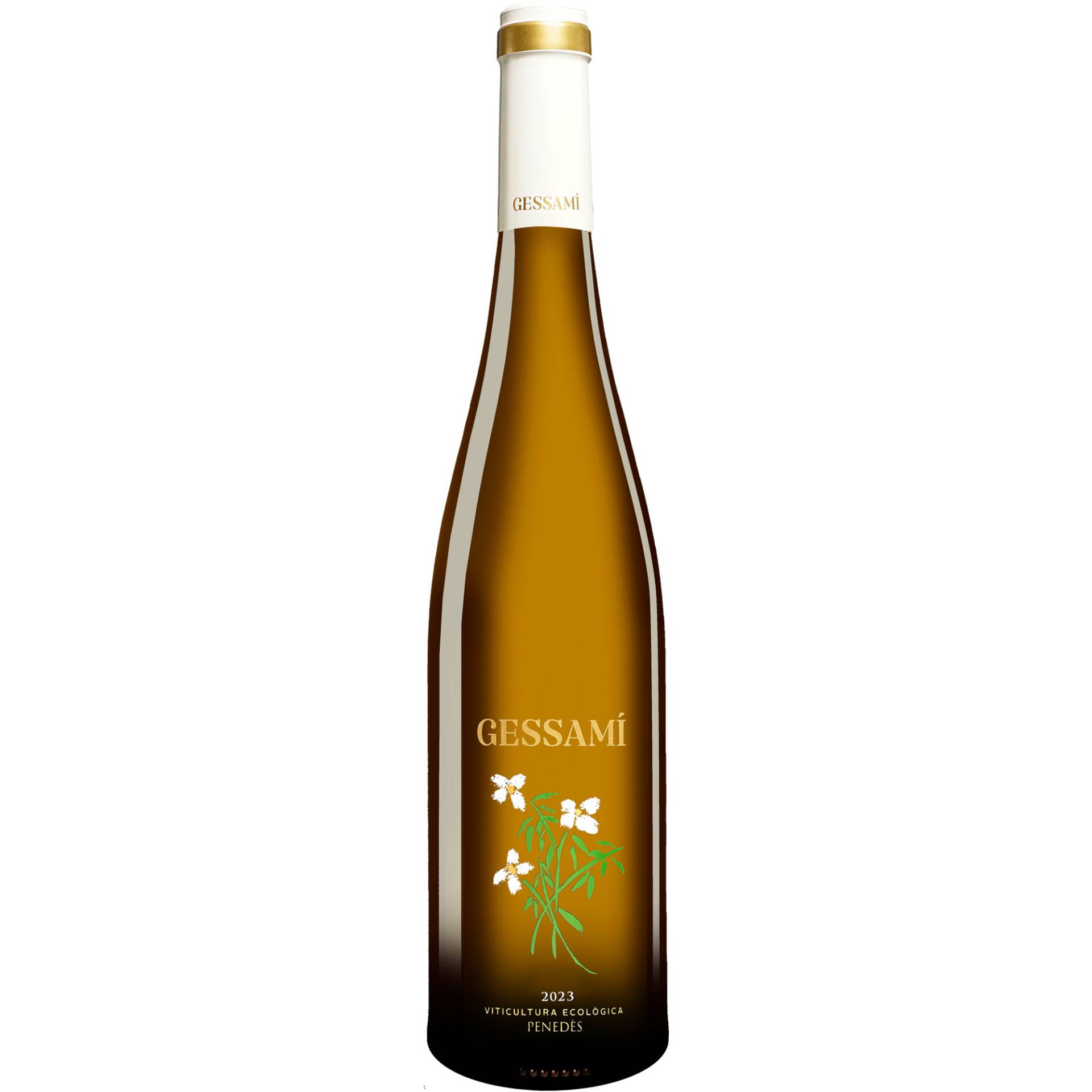 Gramona Blanc »Gessamí« 2023  0.75L 11% Vol. Weißwein Trocken aus Spanien von Gramona