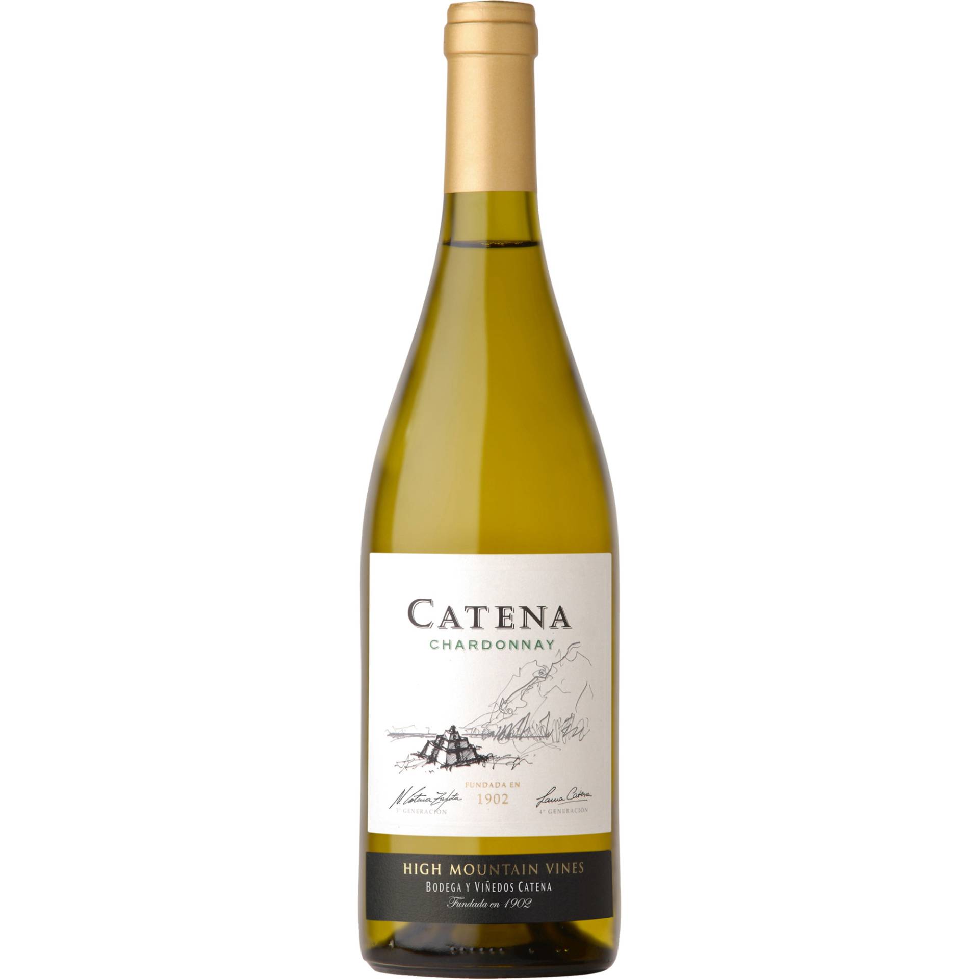 Catena Chardonnay, Mendoza, Mendoza, 2022, Weißwein von Grand Cru Select Distributionsgesellschaft mbH, -53227 Bonn