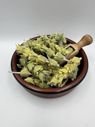 Griechischer Bergtee geschnittener loser Kräutertee – Sideritis Scardica 20 g – 4,9 kg (1900 g) von GreekHerbay