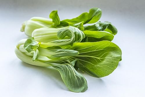 Asiasalat Senfkohl Pak Choi 200 Samen von Grow Your Secret Garden