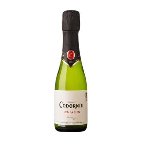 3 Einheiten Box Codorníu Benjamín Brut Cava Kleine Flasche 20 cl Weißer Sekt von Grupo Codorníu