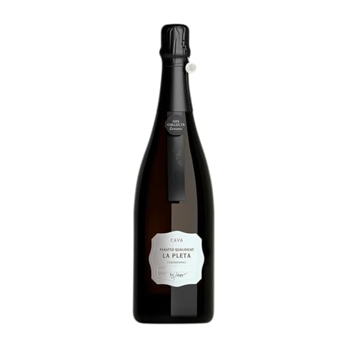 Codorníu Ars Collecta Finca la Pleta Chardonnay Cava 75 cl Weißer Sekt von Grupo Codorníu