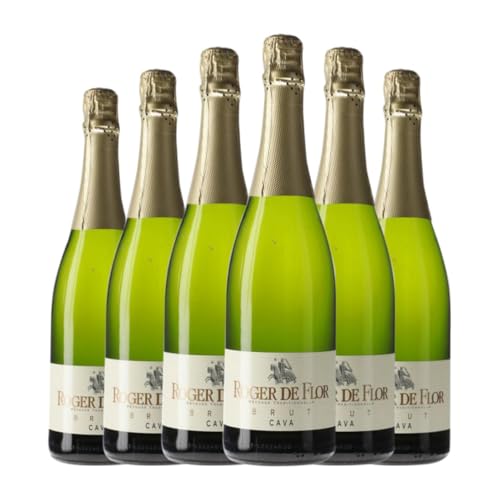 Codorníu Roger de Flor Brut Cava 75 cl Weißer Sekt (Karton mit 6 Flaschen von 75 cl) von Grupo Codorníu