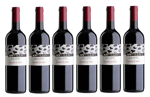 6x 0,75l - 2022er - Guado al Melo - Antillo - Rosso - Bolgheri D.O.P. - Toscana - Italien - Rotwein trocken von Guado al Melo