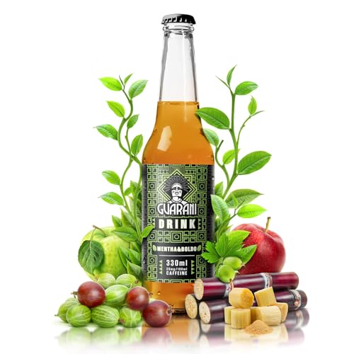 Guarani Mentha & Boldo 330ml | Fruit Drink Guarani | Fruchtgetränk mit Mate Tee in Flaschen | 100% biologische Zutaten | Natürliches Koffein | Mate Tee aus Paraguay von Guarani