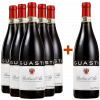 Guasti 2023 5+1 Paket Barbera d'Asti DOCG von Guasti