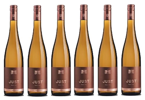 6x 0,75l - 2023er - Gut Hermannsberg - Just Riesling - VDP.Gutswein - Qualitätswein Nahe - Deutschland - Weißwein trocken von Gut Hermannsberg