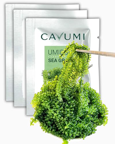 CAVUMI Sea Grapes 3x25gr / Meerestrauben als Algen Snack/Getrocknete Seealgen/Umibudo als knackiger Grüner Kaviar (75 g_3er Pack) von HANA Kimchi