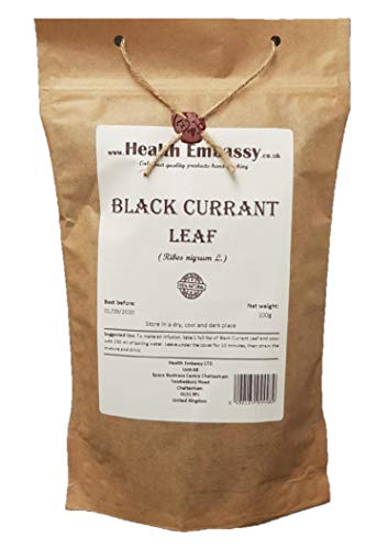 Health Embassy Schwarze Johannisbeere Blatt (Ribes Nigrum L) / Black Currant Leaf, 100g von HEALTH EMBASSY