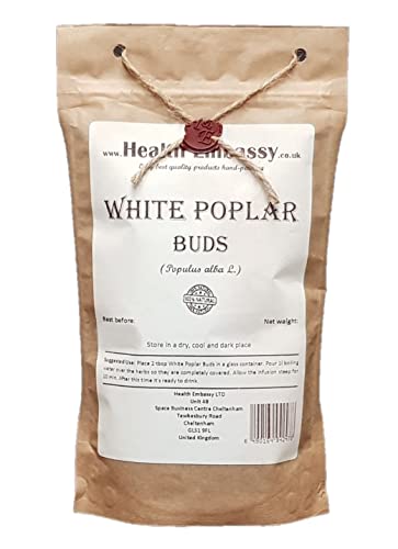 Health Embassy Weißpappelknospen Kräutertee | Populus Alba L | White Poplar Buds Tea 100g von HEALTH EMBASSY