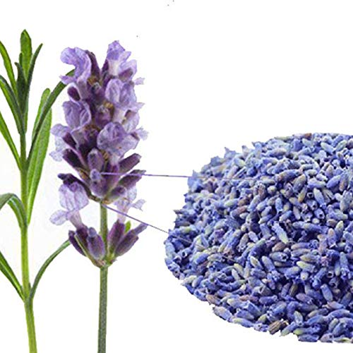 50g (0,11LB) Lavendel getrocknete Blume Tee chinesische Kräuter gut für Schlaf Kräutertee duftenden Tee Botanischer Tee Kräuter Tee Grüner Tee Roh Tee Blumen Tee Gesundheit Tee Chinesischer Tee von HELLOYOUNG