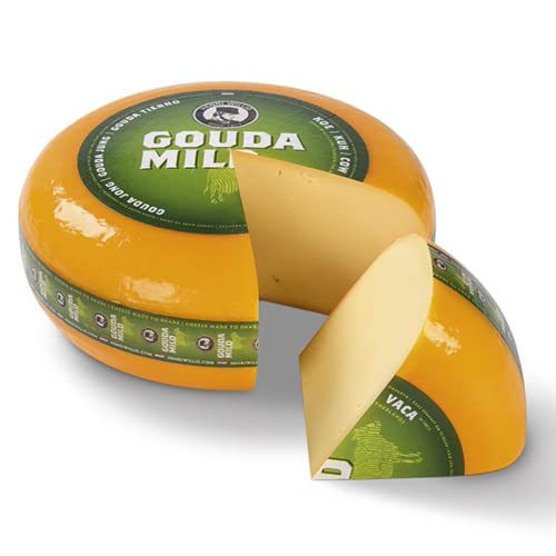 Henri Willig Gouda Jung Rad 48+ von HENRI WILLIG