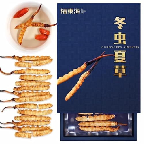 Premium Chinesischer Kräutertee Gesunder Tee Getrockneter Tien Cordyceps 1g / Karton Natürlicher roher Cordyceps Sinensis Militaris Pilz von HQZMCTE