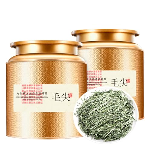 Premium MaoJian Grüner Tee, Erfrischender Geschmack Aus Der Natur 250g / Dose Xinyang Original Mao Jian Tee von HQZMCTE