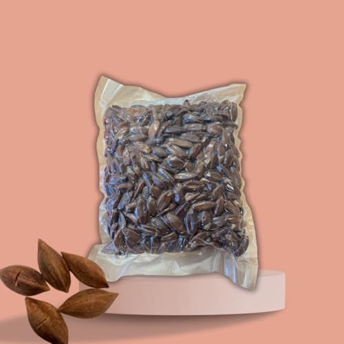 Pilinusskerne 1kg – Die cremig-nussige Superfood-Snack-Revolution (1kg) von HUA MALOO