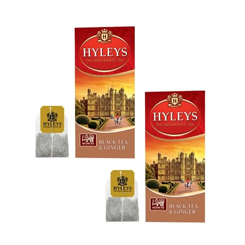 Hyleys® | Schwarzer Tee & Ingwer | Schwarzer Tee in Filtern | Schwarzer Tee und Ingwer | Ceylon-Tee mit Ingwer – 2 x 25 Teebeutel (75 g) von HYLEYS