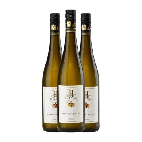 Hamm Riesling Trocken Rheingau 75 cl Weißwein (Karton mit 3 Flaschen von 75 cl) von Hamm